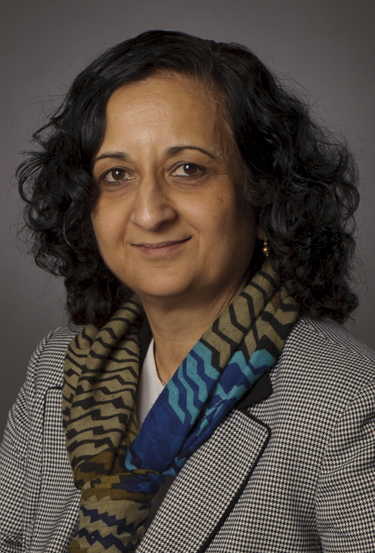 Dr. Anuradha Annaswamy