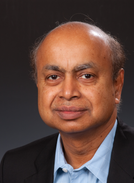 Dr. Dipankar Raychaudhury, Director
