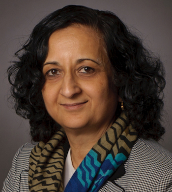 Professor Anuradha Annaswamy