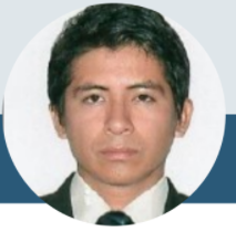 Ing.Anthony Daril Ricci Pinaúd