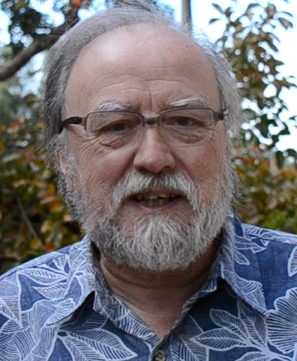 Piero P Bonissone Analytics LLC, CEO