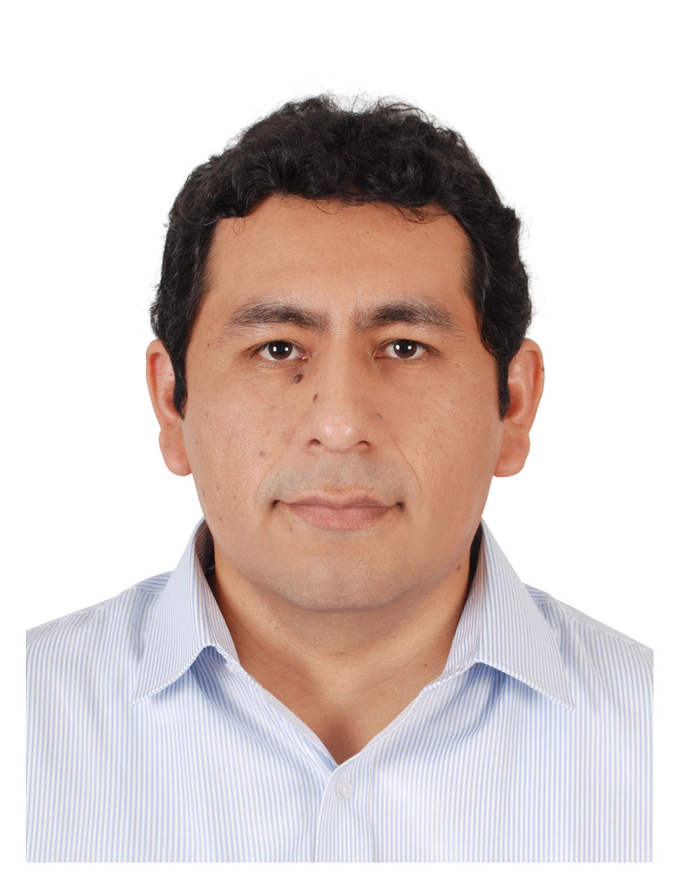Ing. Néstor Alejandro Ccencho García