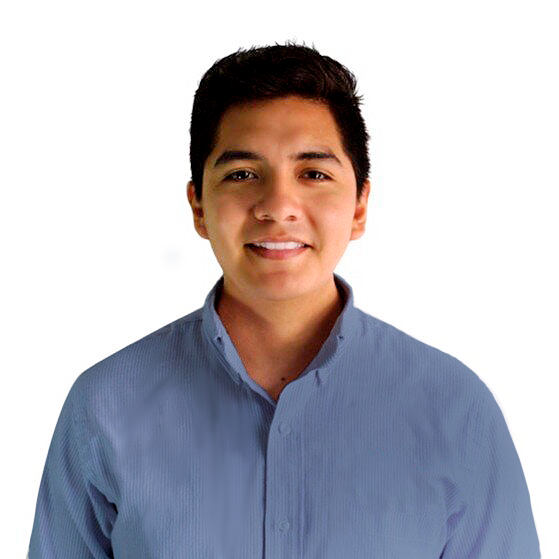Ing. Marco Antonio Romani Vasquez