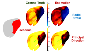 A collage of images of different colors

AI-generated content may be incorrect.